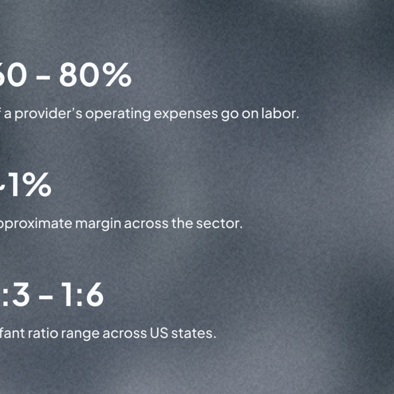 60-80% of a providers operating expenses go on labor. ~1% approximate marin across the sector. 1:3 - 1:6 infant ratio range across the US states.